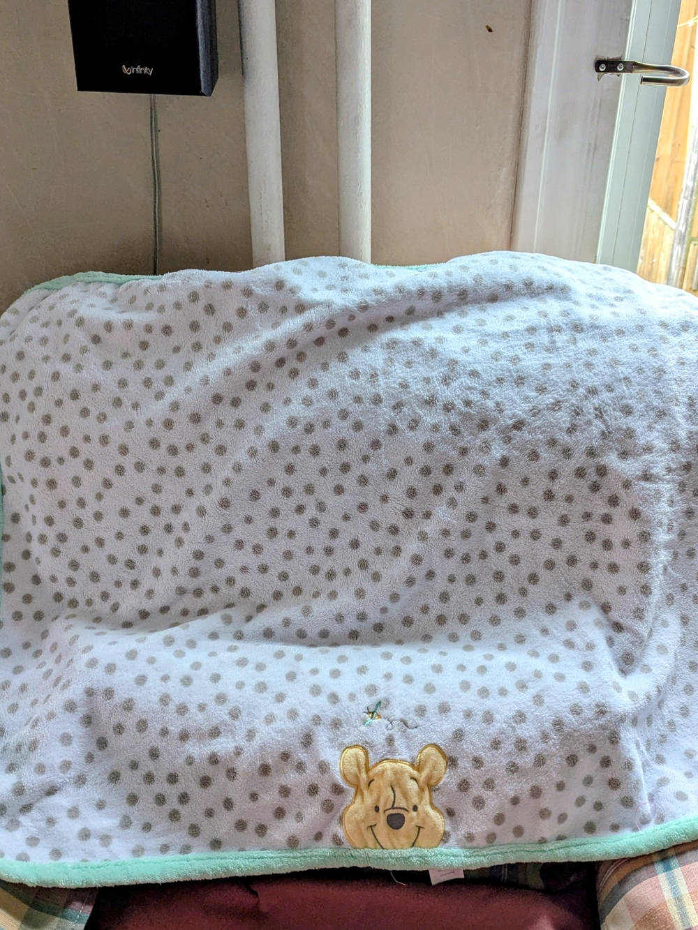 Disney White Polka Dot Baby Blanket with Mint Trim and Pooh Accent